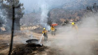 Затяжная жара в Калифорнии стала угрозой новых лесных пожаров