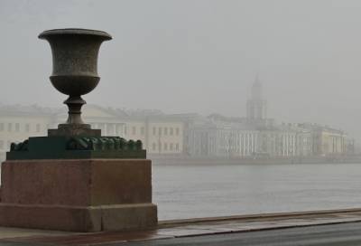 В Петербурге 16 августа будет тепло и туманно