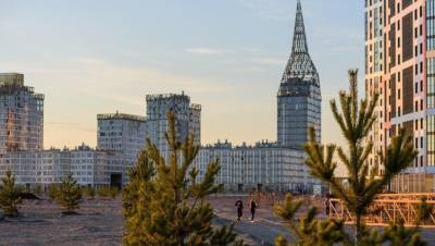 Завышенные требования: застройщики Петербурга отказываются от крупных проектов