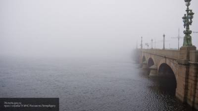 Водителей Петербурга предупредили о тумане утром 16 августа