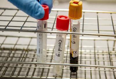 В Ленобласти на 16 августа выявлено 28 новых случаев коронавируса