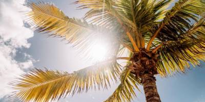4 преимущества для здоровья от пребывания на солнце