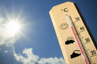 Солнечно и тепло: Прогноз погоды на 16 августа
