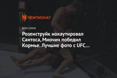 Розенструйк нокаутировал Сантоса, Миочич победил Кормье. Лучшие фото с UFC 252