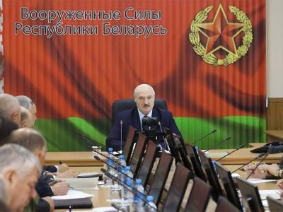 Лукашенко поручил силовикам не допустить "живой цепи" протестующих от Вильнюса до Киева