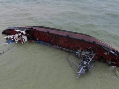 В. Потапенко: «Из-за катастрофы танкера Delfi до сих пор гибнет флора и фауна Черного моря»