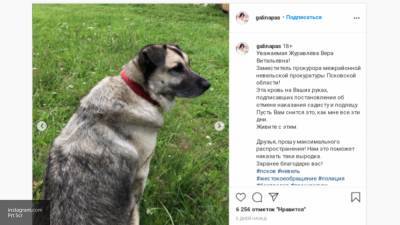 Псковский губернатор пообещал разобраться с жестоким убийством собаки