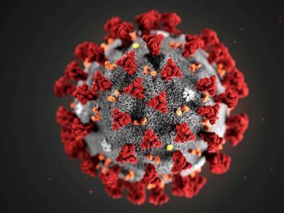 Ученые признали пользу вина в борьбе против коронавируса