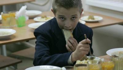 Обеспечить школьников горячими обедами сможет только Пушкинский район