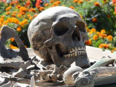На Тернопольщине археологи нашли 10 человеческих скелетов из XVII-XIX