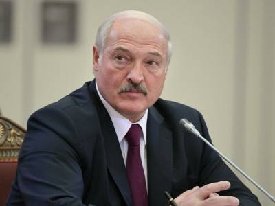 Лукашенко прокомментировал идею проведения повторных выборов