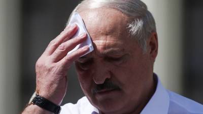«Стою перед вами на коленях»: Лукашенко обратился к собравшимся на митинге
