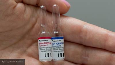 Гинцбург сообщил, когда начнется массовая вакцинация от COVID-19