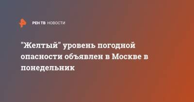 "Желтый" уровень погодной опасности объявлен в Москве в понедельник