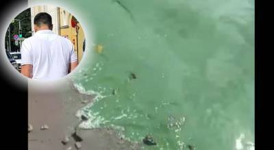 "Реку травят": ярославец шокирован мутагенной водой в Волге