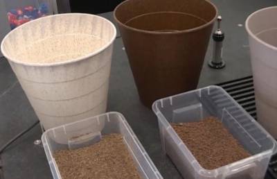 В Лебедяни начали производить корзины для мусора из биоразлагаемых материалов