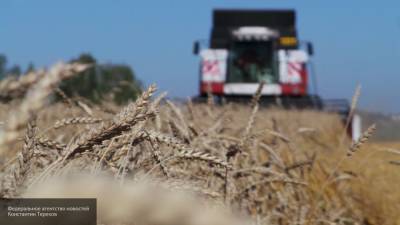 Минсельхоз США повысил прогноз урожая пшеницы в РФ