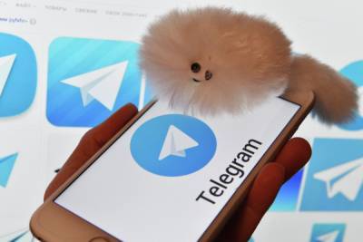 В Госдуме назвали крысами «сливающих» информацию в Telegram-каналы чиновников и призвали их душить