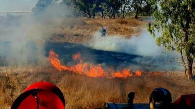 Огненный террор: 17 пожаров за 4 часа в заповедных лесах у границы с Газой