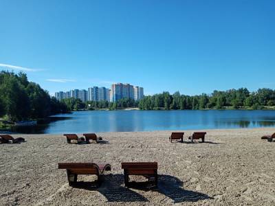 Сквер «Самбо» и парк у озера Земснаряд-2 открылись после благоустройства
