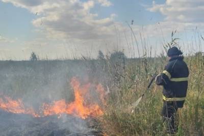 Крупный пожар под Ростовом тушили больше шести часов