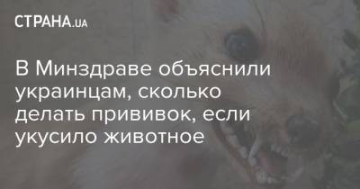 В Минздраве объяснили украинцам, сколько делать прививок, если укусило животное