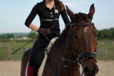 В Подмосковье завершился чемпионата России по конному спорту