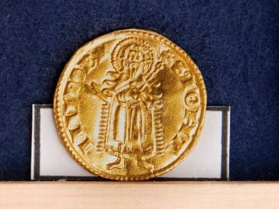 У монастыря свинья нашла клад XIV века с золотом и серебром