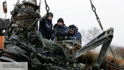 Голландский политолог: прокурор по делу MH17 прикрывает разведку Украины