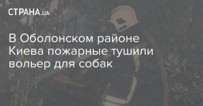 В Оболонском районе Киева пожарные тушили вольер для собак