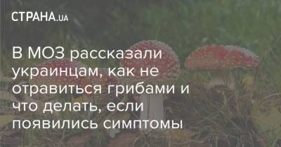 В МОЗ рассказали украинцам, как не отравиться грибами и что делать, если появились симптомы