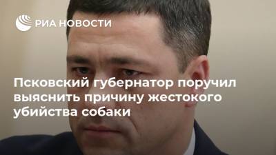 Псковский губернатор поручил выяснить причину жестокого убийства собаки