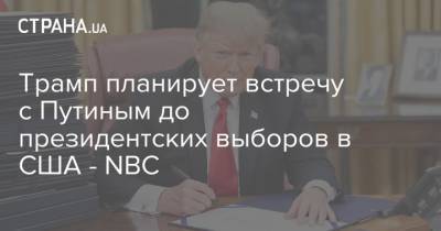 Трамп планирует встречу с Путиным до президентских выборов в США - NBC