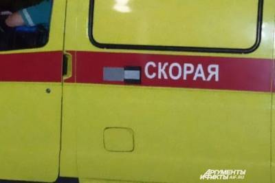 В Алтайском крае произошло смертельное ДТП с участием грузовика