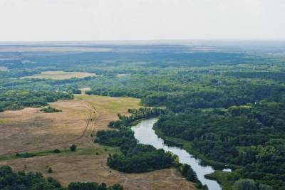 Посещать леса в Волгоградской области запретили до 6 сентября