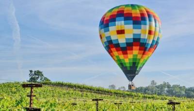 В Германии разбился воздушный шар с туристами, любовавшимися виноградниками