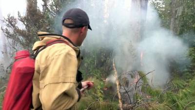 Более чем в десять раз удалось сократить площадь лесных пожаров в Якутии