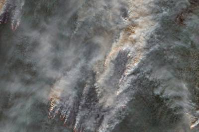 Площадь лесных пожаров в Сибири за неделю выросла в 8 раз