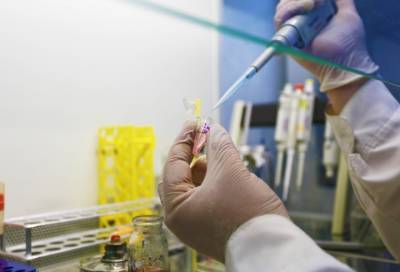 Научный центр "Вектор" начал второй этап испытаний вакцины против COVID-19