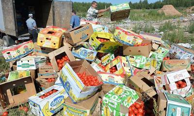 Россельхознадзор пожаловался на «изощренные» попытки контрабандистов ввезти санкционные продукты в РФ