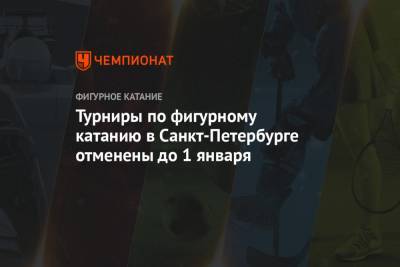 Турниры по фигурному катанию в Санкт-Петербурге отменены до 1 января