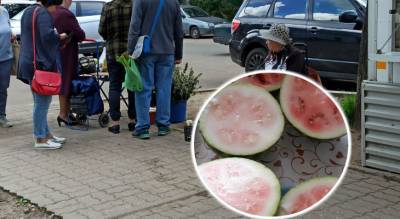 "Как на корм скоту": ярославцев возмутили арбузы в сетевых магазинах Ярославля