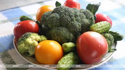 ЮНЕП: ученые предлагают менять рацион питания в пользу растительной диеты