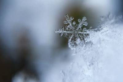 Метеоролог рассказал россиянам о погоде в предстоящую зиму