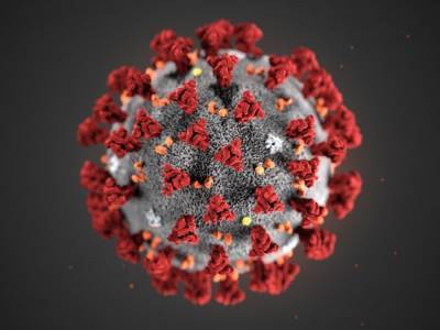 В мире количество заболевших коронавирусом превысило 21 миллион 613 тысяч человек