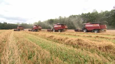 Аграрии Беларуси приблизились к намолоту в 7 млн тонн зерна