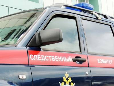 В Челябинской области семилетняя девочка погибла после падения из окна