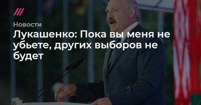 Лукашенко: Пока вы меня не убьете, других выборов не будет