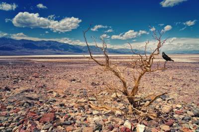 В Долине смерти зафиксированы рекордные для Земли +54,4°С