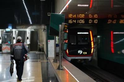 Полицейский в московском метро спас упавшего на рельсы пассажира
